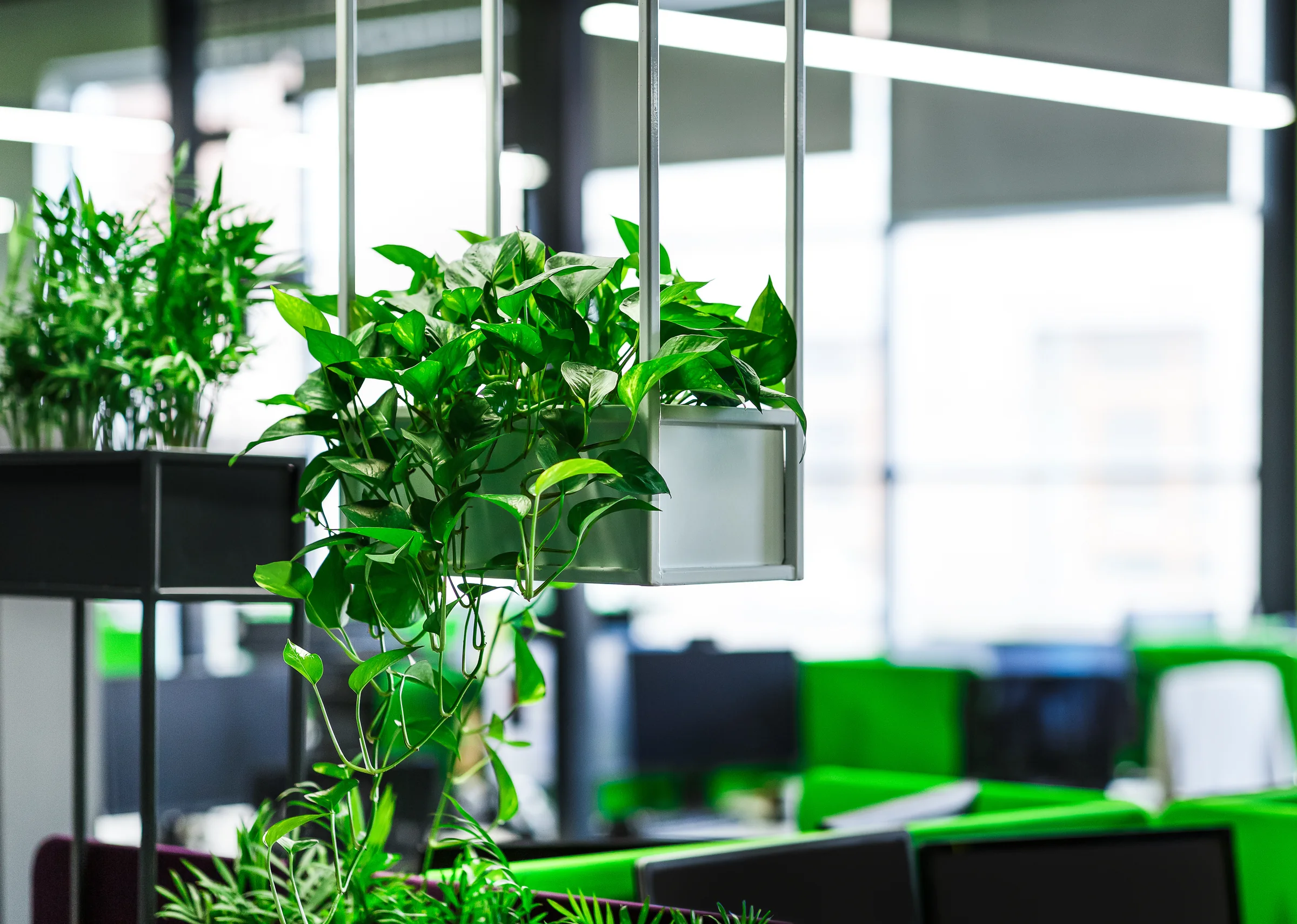 Ambiente corporativo integrado à vegetação
