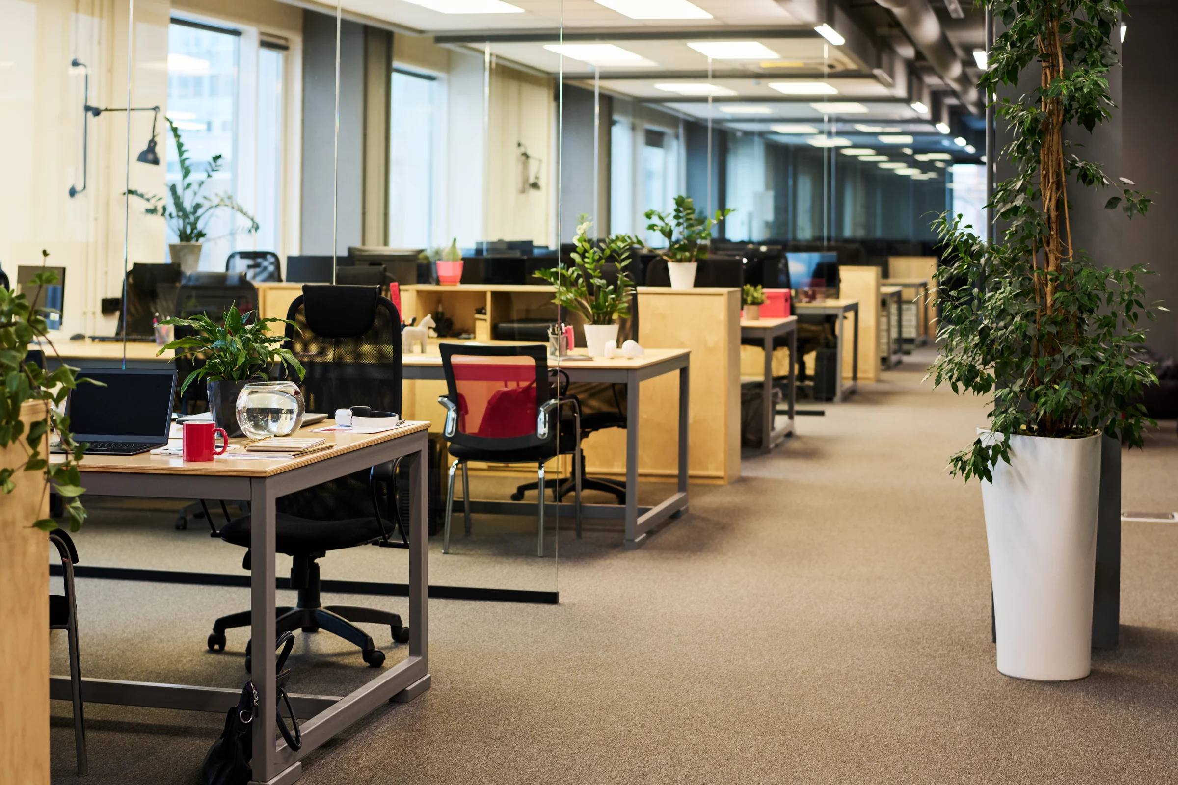 Ambiente de trabalho contemporâneo com integração de vegetação